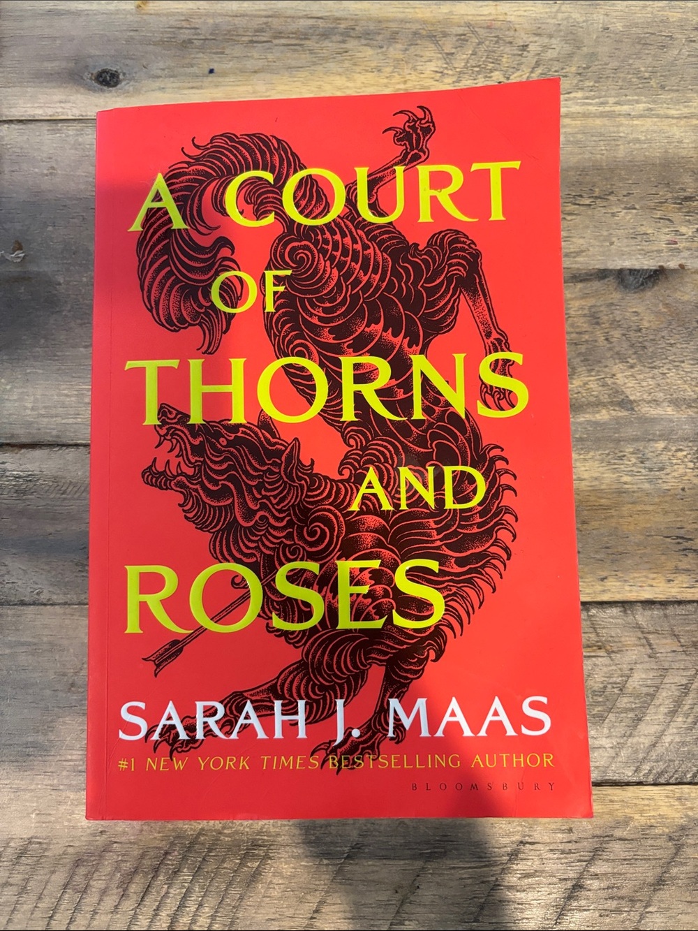2 for $25 A Court of Thorns and Roses by Sarah J. Maas